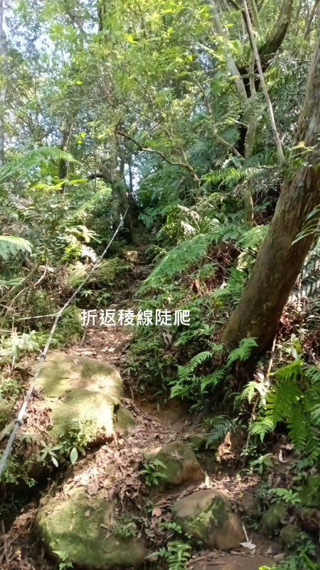 8208af4518068529ec562017901a6135.png