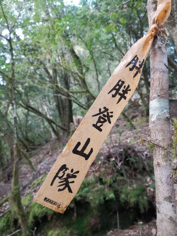 824d6b65dc216fffb4974b2b5e540717.png