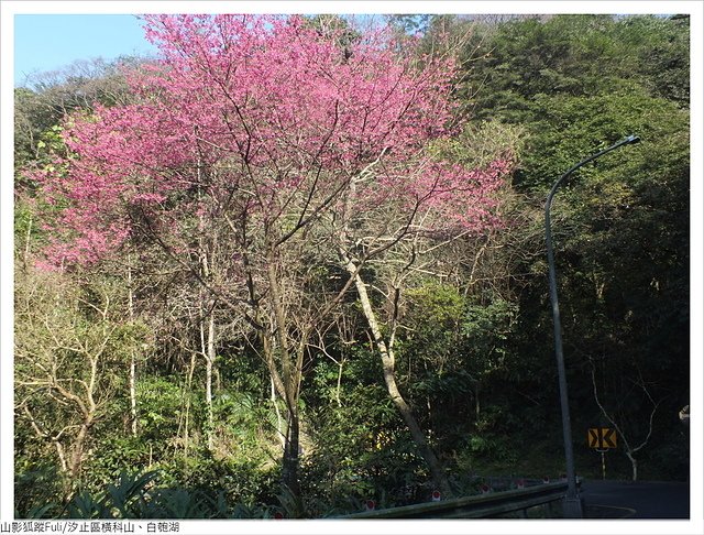 橫科山白匏湖 (167).JPG - 橫科山、白匏湖