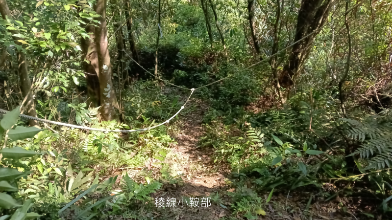 8290b854f57c437495f5480c9bfa20a7.png