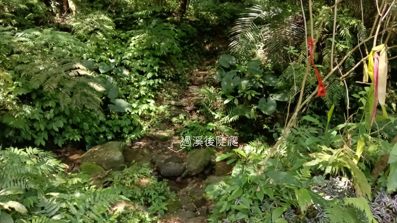 82a7289fc320ddca6fb4648900e4537c.png