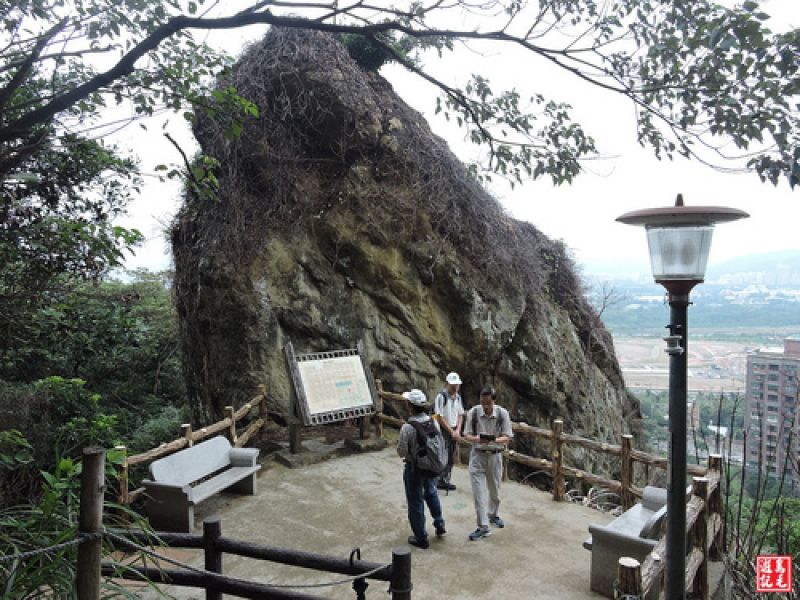 新北市 西鶯山 忠義山 觀景山 鶯歌石步道 健行筆記