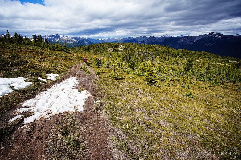 Trail of Bald Hills