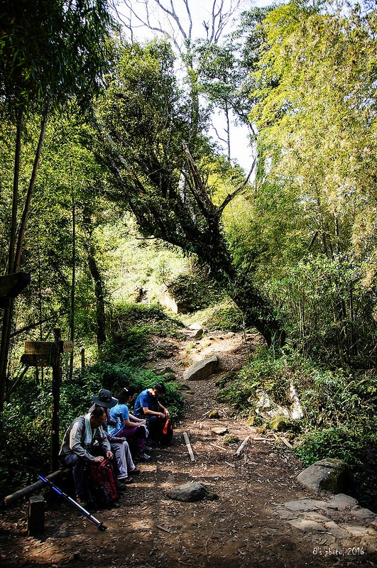 鞍部岔路