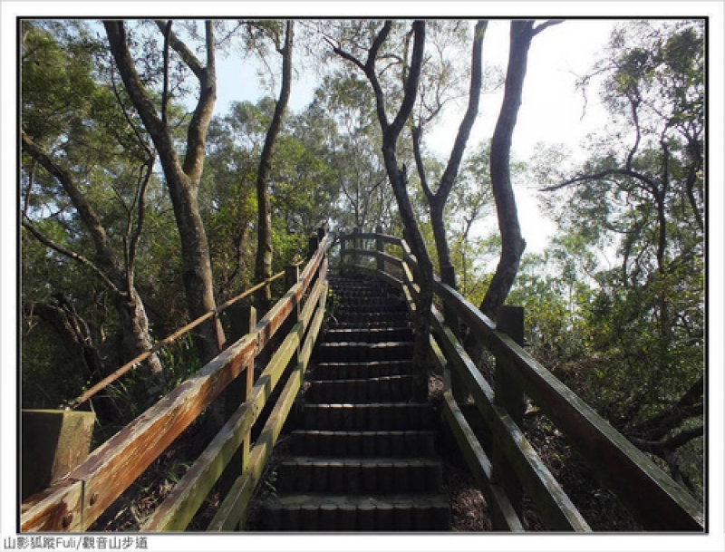 觀音山步道 (38).jpg - 觀音山步道