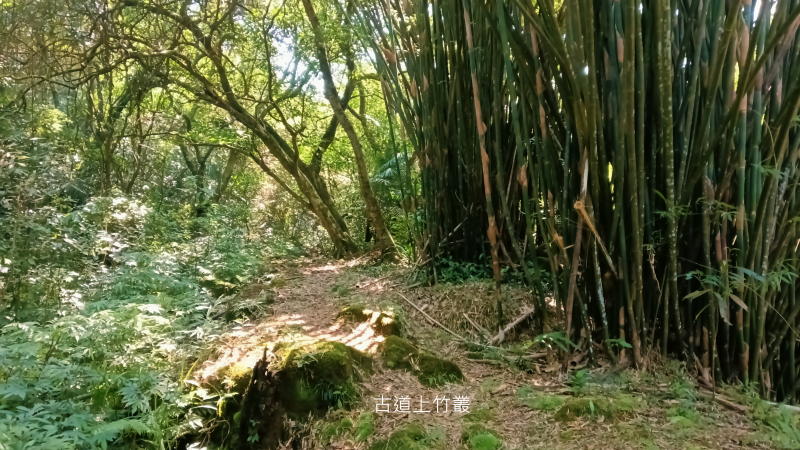 83149c81caa36cb1ddcfa98ec17e7143.png