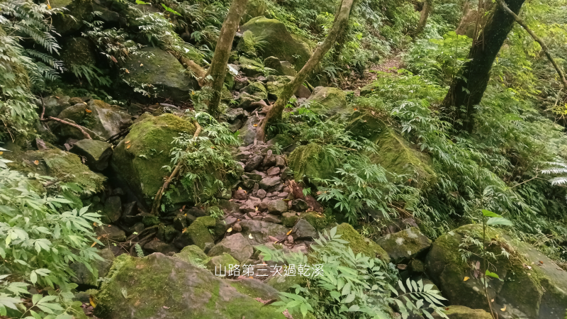 83175560ff5d1bba81f9533865e6efea.png