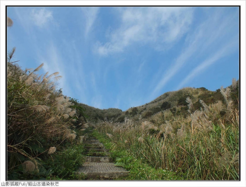 貂山古道 (30).jpg - 貂山古道