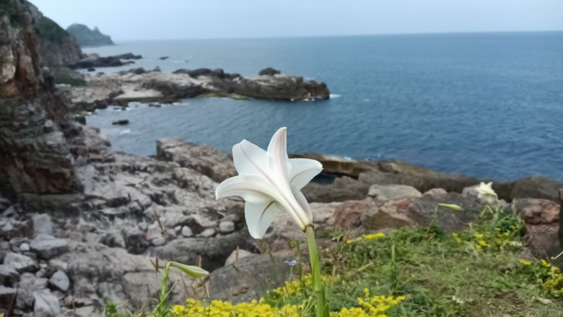 836fd01cbaf041abceedab814e8a3b61.jpg