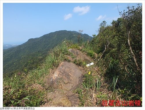 望古山 (28).JPG - 望古山