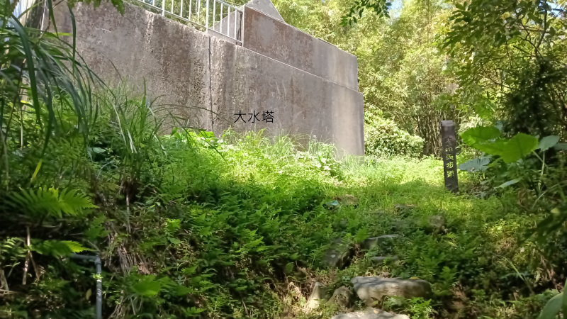 8416816110d3db0743a8fafe067bedd3.png