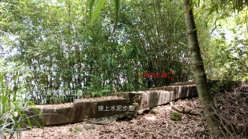 84610982a48ca78c6e5a1d5a33b175f0.png