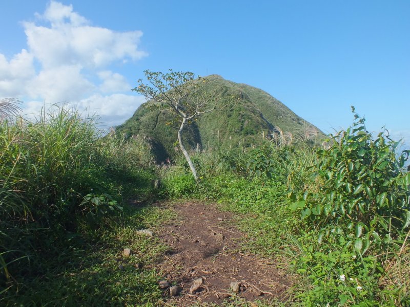 基隆山稜 (47).JPG - 基隆山稜