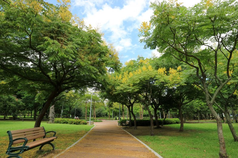 綠意盎然的都會公園《大安森林公園》 - 健行筆記