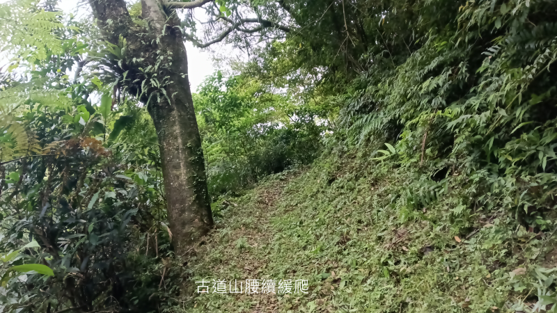 85c9c21e967531c009a5ab567d5e16b2.png
