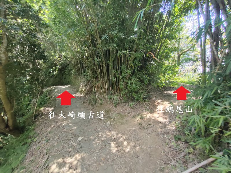 85dc85f0538016489cc3b97d9cabbcad.jpg