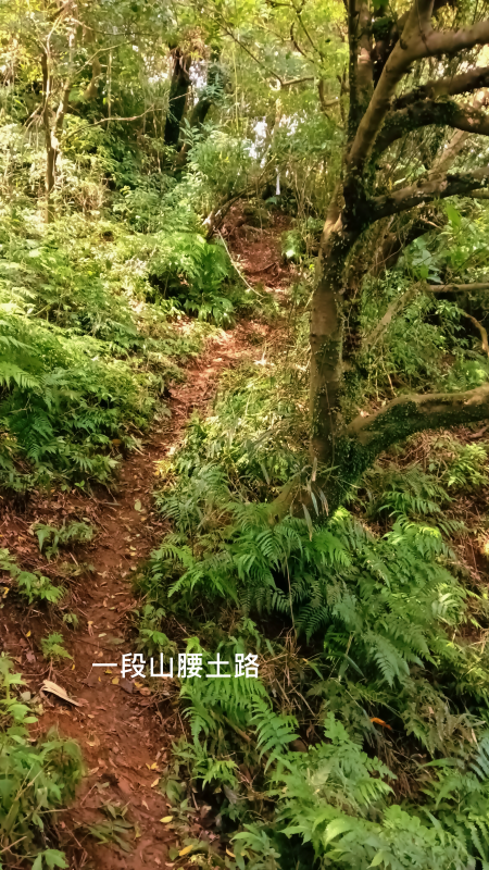 8607003736e3d28684c536a6d239f7cc.png