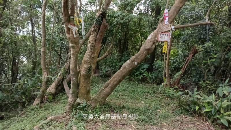 861f90a5eb5c5e921ffae16085463846.png