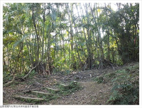 炮子崙古道 (20).JPG - 炮子崙古道