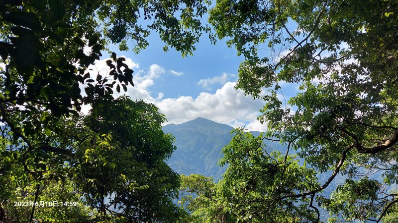 【八仙山】松鶴登山口，谷關七雄老大