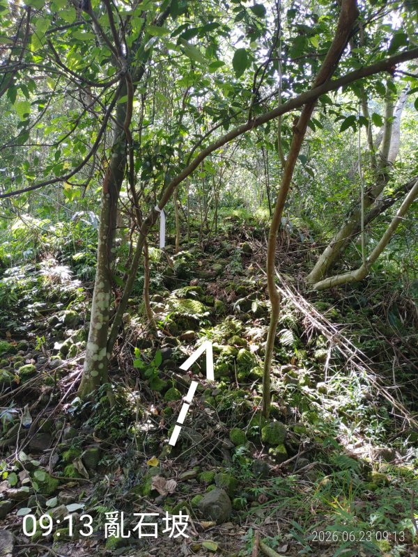 86956bb0385771c148023cf41ceca4e3.jpg