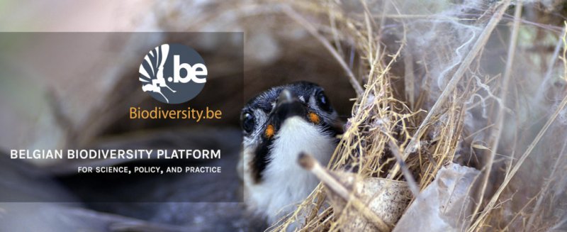 Belgian Biodiversity Platform