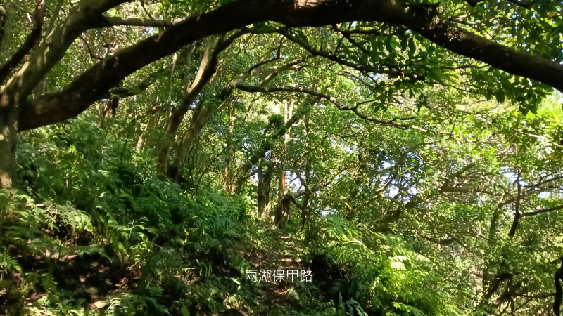 86ab788098e918af318c9e77ed5a13d0.png