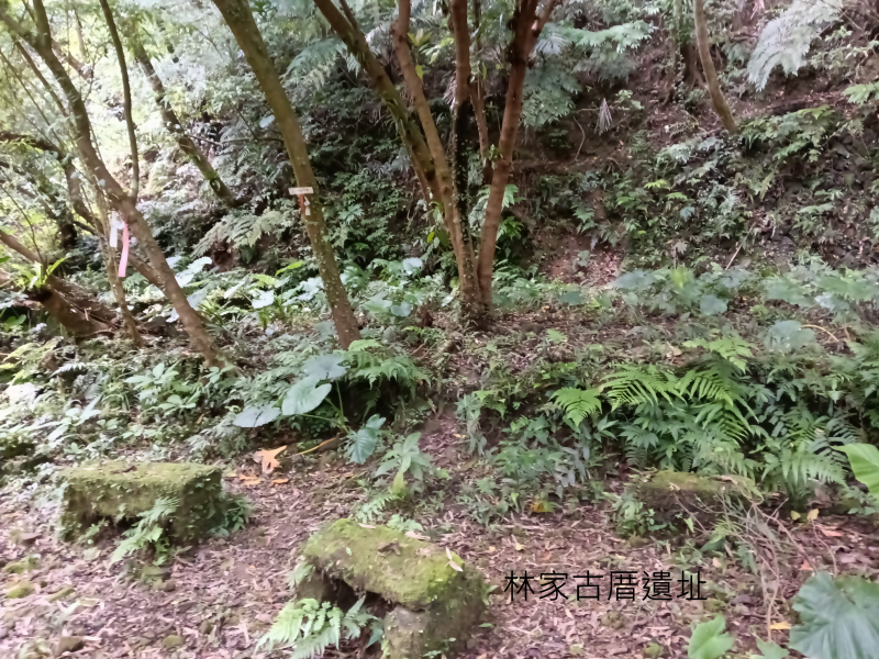 86c50c2b1000454969c9be40250886ad.png