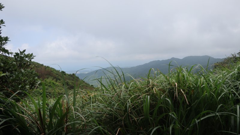 86db64c56939aacd600f62166f50ec69.jpg