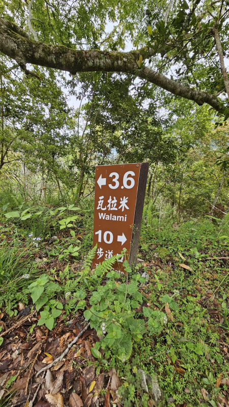 86fbfea6539928441bfbcfd7ca27d8f3.jpg