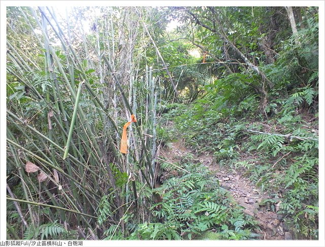 橫科山白匏湖 (153).JPG - 橫科山、白匏湖