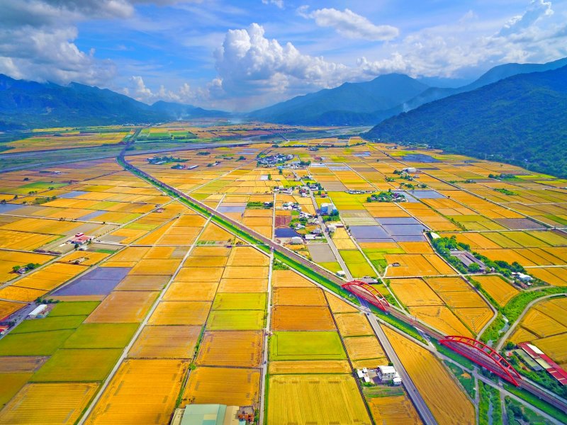 玉里稻浪鐵道線