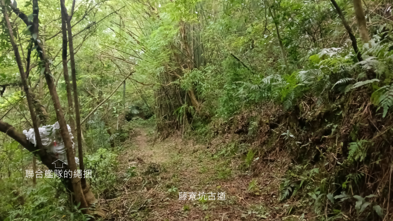 87eb791377e83d23c76d73b2a81ccbc2.png