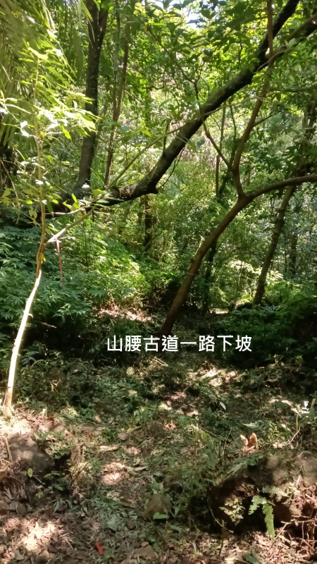 896f3cea83946789a8cfb3b879f1eeb5.png