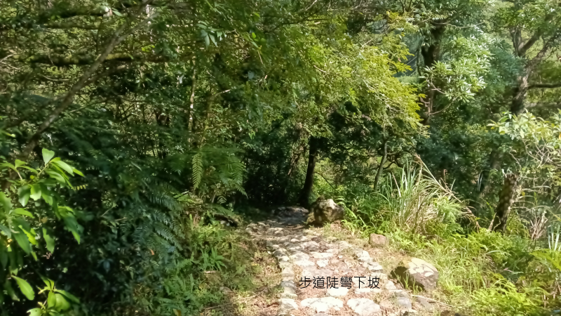 89f70b6e8722906efa19d40dc39e4124.png