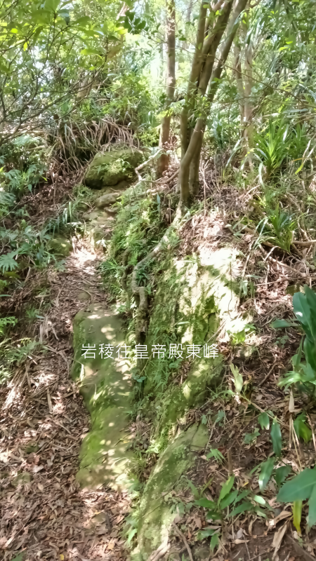 8a14d47cf35a54a5901251da006d3d65.png