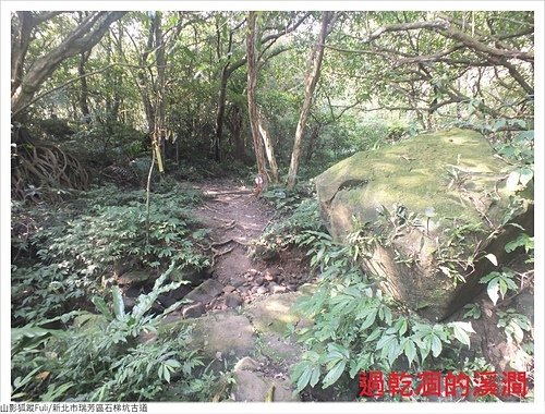 石梯坑古道 (35).JPG - 石梯坑古道