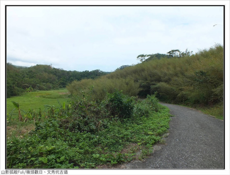 嶺頭觀日、文秀坑古道 (51).jpg - 嶺頭觀日、文秀坑古道