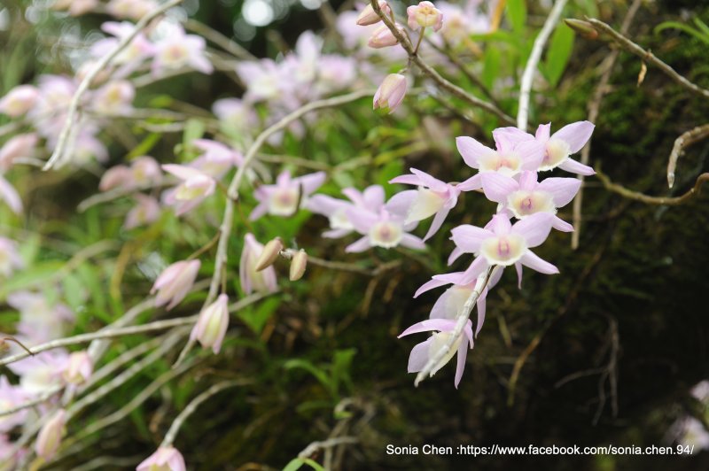 8ada8ad52a2174b5e58e4b2e0f25270b.jpg