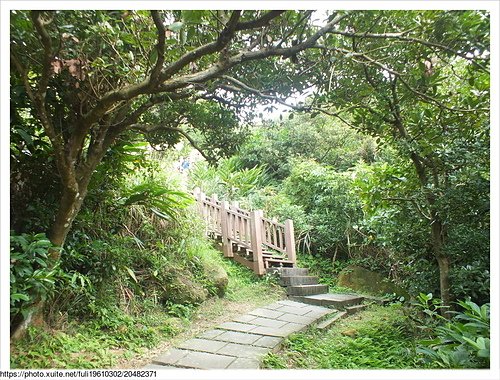 鼻頭角步道 (8).JPG - 鼻頭角稜線步道