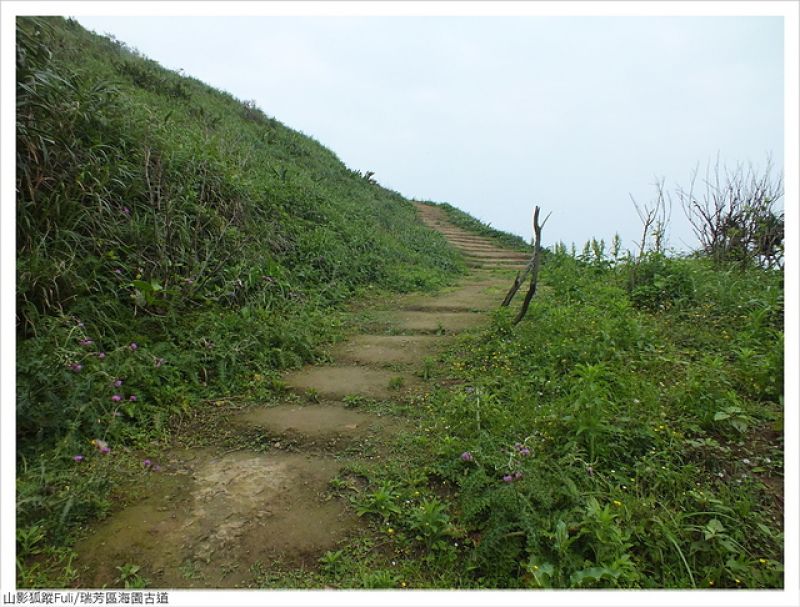 海園古道 (6).JPG - 海園古道蝶影翩翩