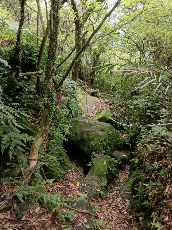 8b9b9a0fb0f39d0f69b962af120618c5.jpg