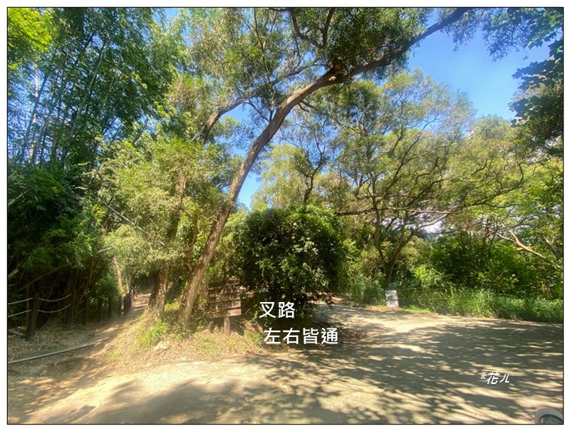 8be6fccc16d3b4c31fb7536fd92db682.jpg