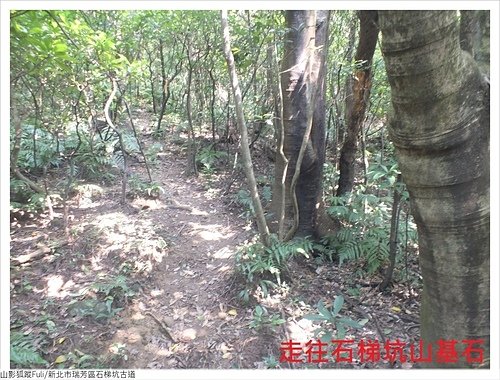 石梯坑古道 (68).JPG - 石梯坑古道