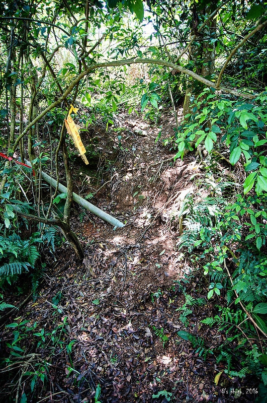 戶亞山登山口小落差