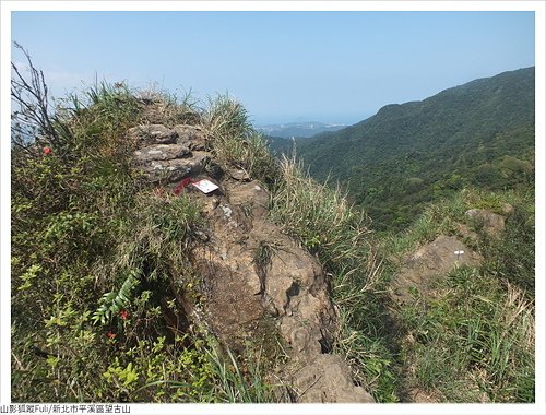 望古山 (000021).JPG - 望古山