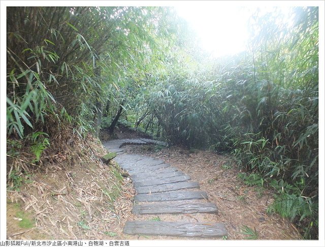 姜子寮山步道 (61).JPG - 姜子寮山步道櫻花