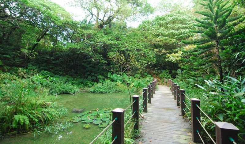 富陽自然生態步道