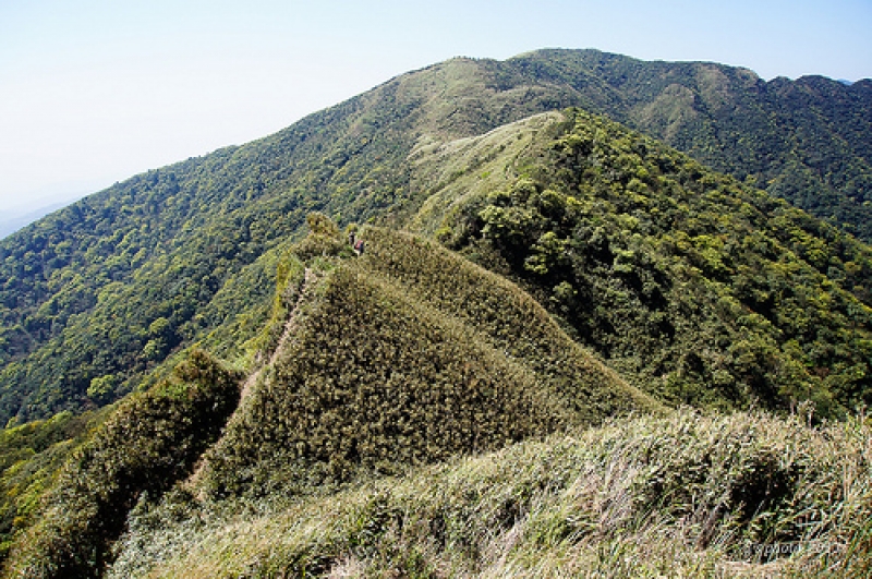 往烘爐地山稜線