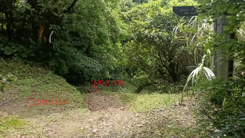8d14dd11eeb16caa564025e9d7a594c4.png